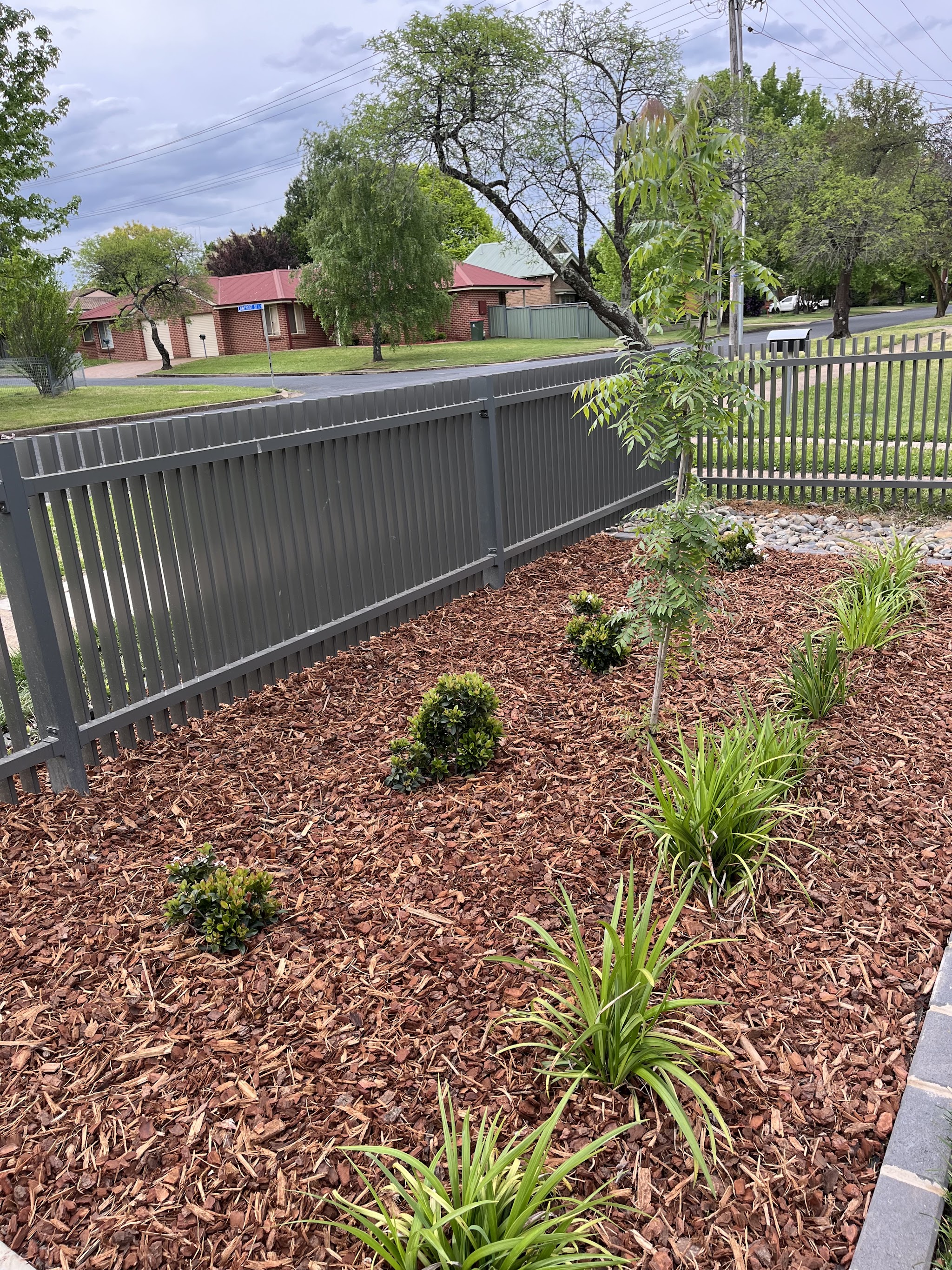 Freshly mulched garden bed with neatly planted shrubs